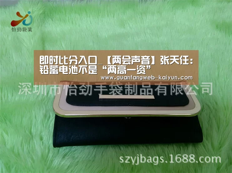 即时比分入口_【两会声音】张天任:铅蓄电池不是“两高一资”(图3) 开云