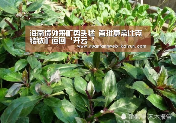 海南境外采矿势头猛 首批莫桑比克锆钛矿运回‘开云 ’(图2) 即时比分入口