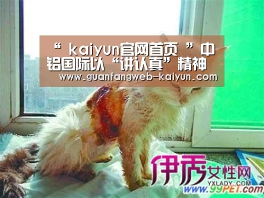 “ kaiyun官网首页 ”中铝国际以“讲认真”精神确保主题教育扎实有效(图4) 即时比分入口