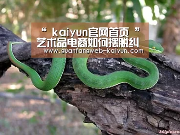 “ kaiyun官网首页 ”艺术品电商如何摆脱纠结(图1) 开云