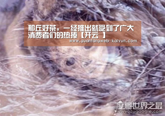  即时比分入口