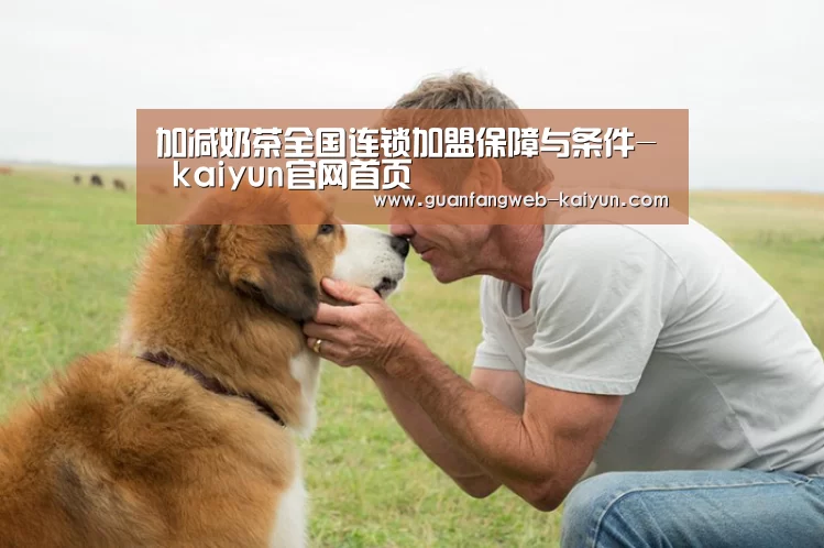 开云 